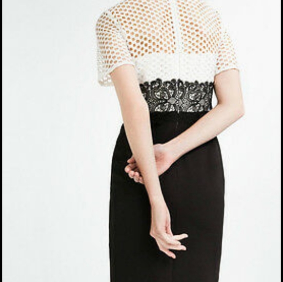 Zara Tube Dress with Lace Top - Picture 8 of 8